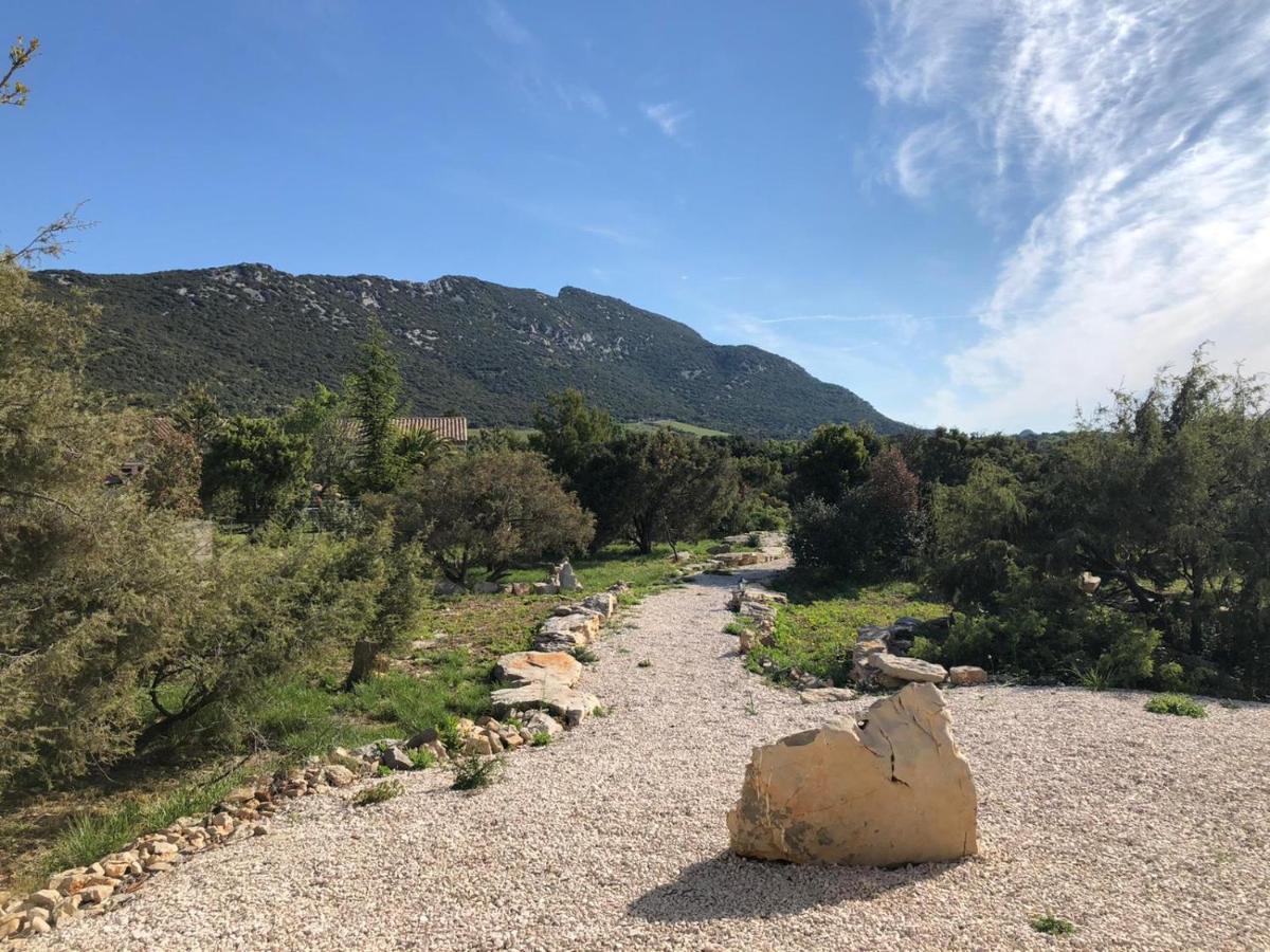 Le Domaine du Cade - Gîtes d'exception 4 étoiles - La Villa du Cade - Cazevieille Pic St Loup - Esterno foto