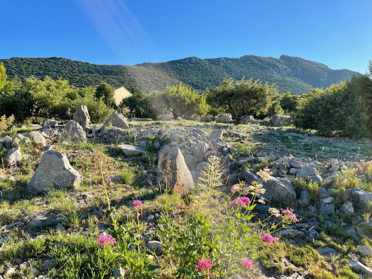 Le Domaine du Cade - Gîtes d'exception 4 étoiles - La Villa du Cade - Cazevieille Pic St Loup - Esterno foto